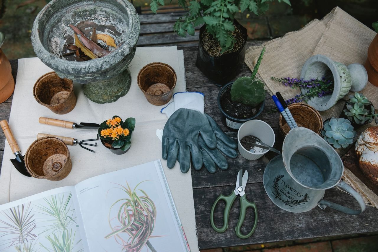 From above of shovel hoe and rake for gardening placed near pots and succulents with opened book